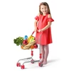 Shopping trolley, metal KLEIN-TOYS 9695